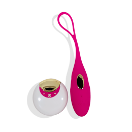 Trivia  Erotic Silicone Bullet Egg Vibrator With A Remote Control